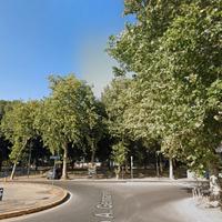 Stanza singola in app.to con giardino privato