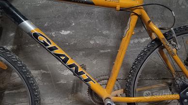 Mountain bike giant