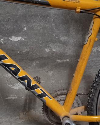 Mountain bike giant