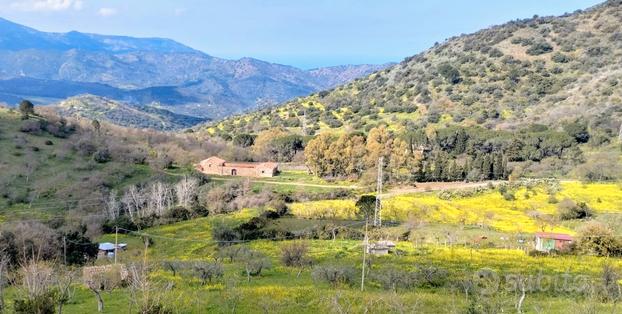 Terreno agricolo con rudere catastato