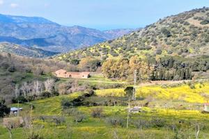 Terreno agricolo con rudere catastato