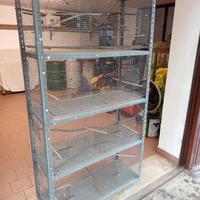 Gabbia per uccelli