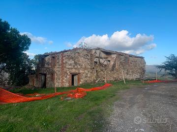 Rudere in val d'Orcia