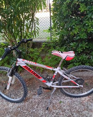 Bici ragazzo 7-11 anni marca Baldoni
