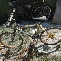 Tre biciclette da sistemare.