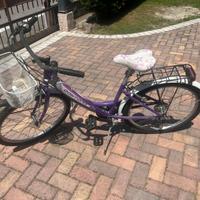 Bici ragazza 24
