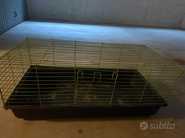 Gabbia x coniglio