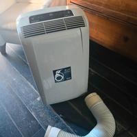 Delonghi condizionatore pinguino 