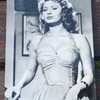 cartolina originale vintage con Sophia loren