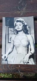 cartolina originale vintage con Sophia loren