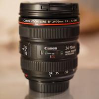 Canon 24-70mm f/4L IS USM - MACRO