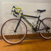 Bici da corsa Phillips