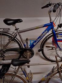 bici Bottecchia