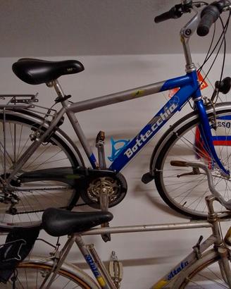 bici Bottecchia