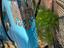 Immagine 2