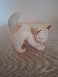 thun gatto