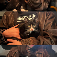 Gattina nero e bianca