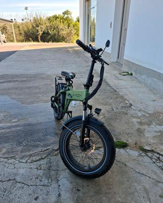 bicicletta elettrica
