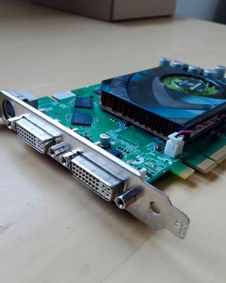 Scheda Video NVIDIA Quadro FX 1500 - Testata