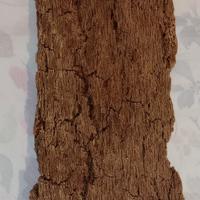 Sughero grezzo x fai da te