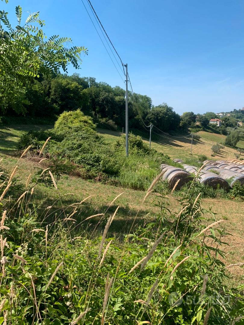 Terreno agricolo - Vista 6