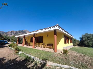 Villacidro - Villa con Piscina