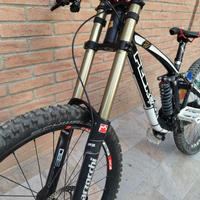 Downhill Bike Pedroni