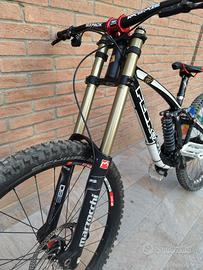 Downhill Bike Pedroni