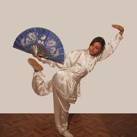 Divisa Kung Fu Wushu Taijiquan