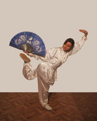 Divisa Kung Fu Wushu Taijiquan
