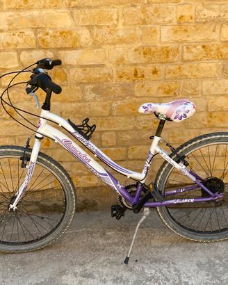 Bicicletta 24
