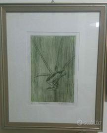 Incisione a bulino a colori, misure H 34 x 28 cm