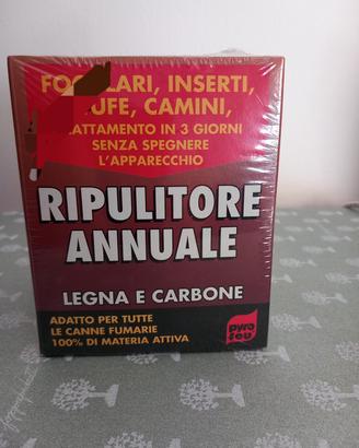 pulitore per camino 