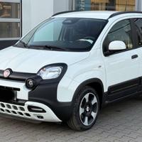 Fiat Panda 1.0 FireFly S&S Hybrid NOLEGGIO 12 MESI