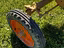 Immagine 11