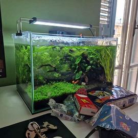 acquario High Tech da 40 litri completo, ideale pe