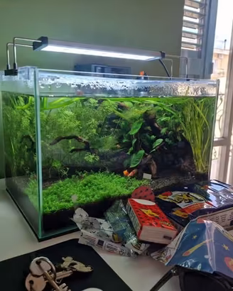 acquario High Tech da 40 litri completo, ideale pe