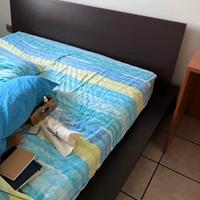 Mobile letto legno