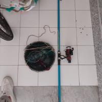 canna da pesca e rete da pesca