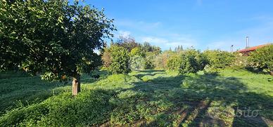 TER. RESIDENZIALE A QUARTUCCIU