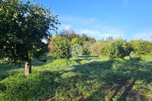 TER. RESIDENZIALE A QUARTUCCIU