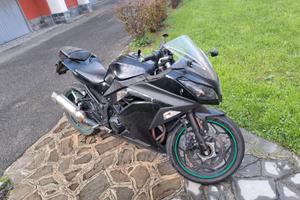 KAWASAKI NINJA 300