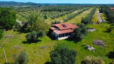 VILLA SINGOLA A MONTALTO DI CASTRO