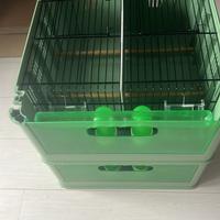 Trasportino TINO MARCA 2 gr