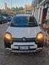 fiat-panda-1-0-firefly-s-s-hybrid-pandina-cross