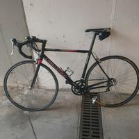 Bici corsa Scapin EOS 7