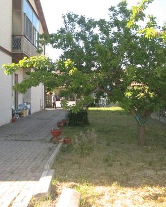 Rif. 282 APPARTAMENTI A LORETO APRUTINO