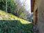 Immagine 27