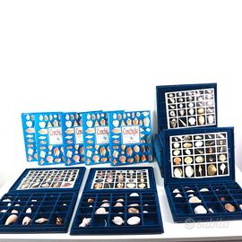 COLLEZIONE CONCHIGLIE DAL MONDO FABBRI EDITORE 