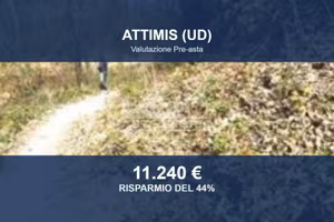 Immobile in asta di 133870 m² a Nimis